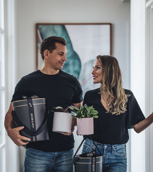 plant delivery gift melbourne indoor plants