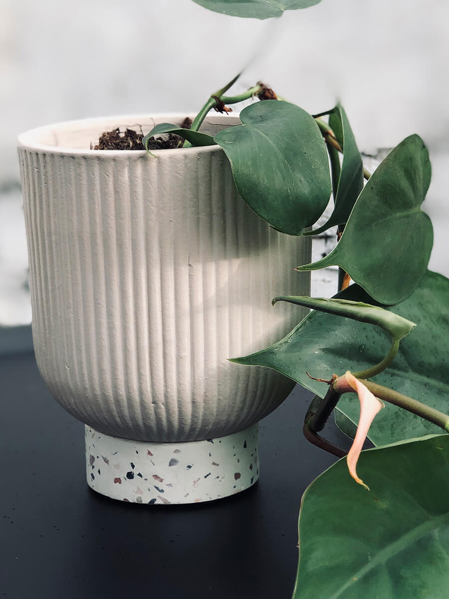 Pastel Pink Planter with Terrazzo Base (Melbourne CBD only)
