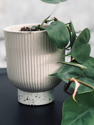 Open image in slideshow, Pastel Pink Planter with Terrazzo Base (Melbourne CBD only)
