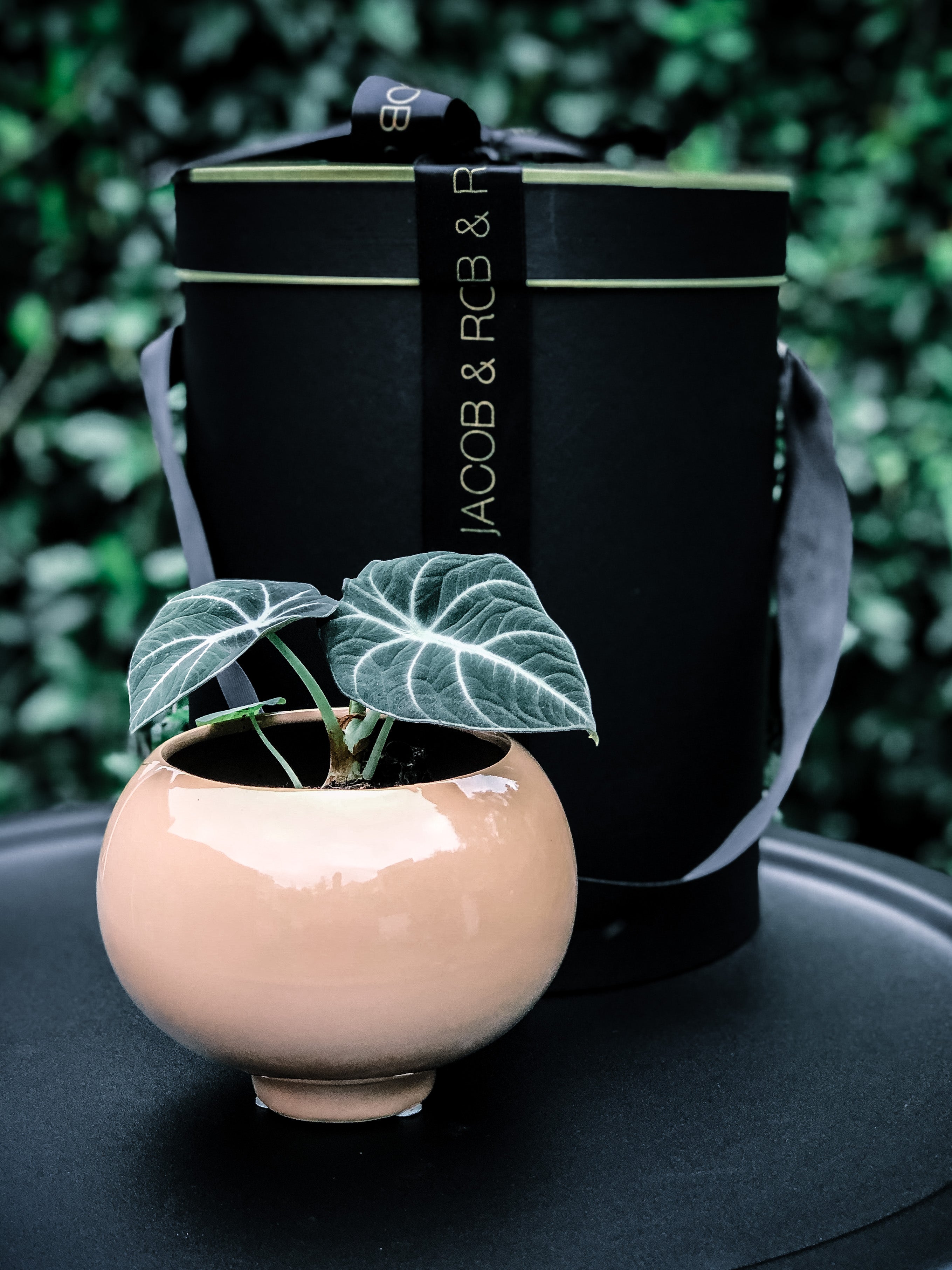 Taupe Handcrafted Stoneware Pot with Plant Options - Indoor Plant & Gifts Delivery Australia