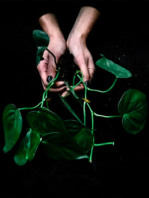 Open image in slideshow, Amos Planter (Earthy)
