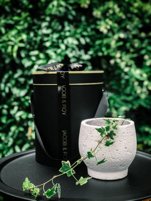 Large Byron Planter (Melbourne CBD Only)