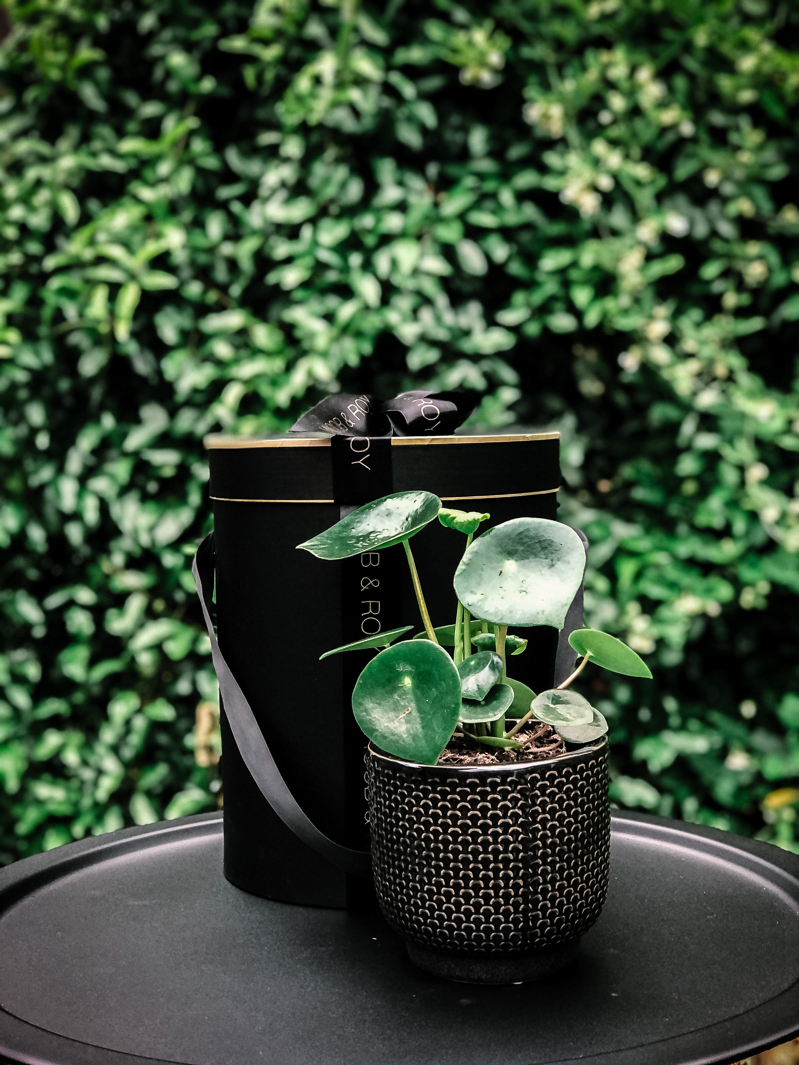 indoor plant pots australia Modern Pattern Pot