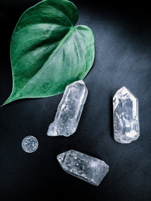 Clear Quartz Stone - Indoor Plant & Gifts Delivery Australia